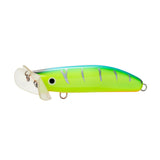 LIVE NATIVE SKUTTLEBUTT SURFACE LURE