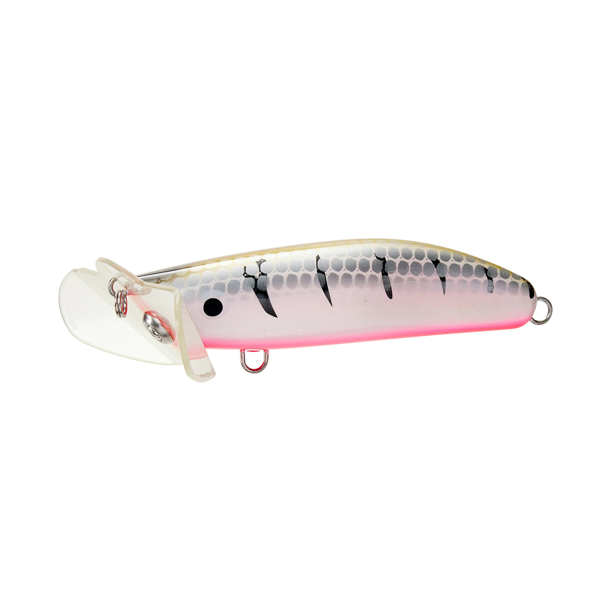 LIVE NATIVE SKUTTLEBUTT SURFACE LURE