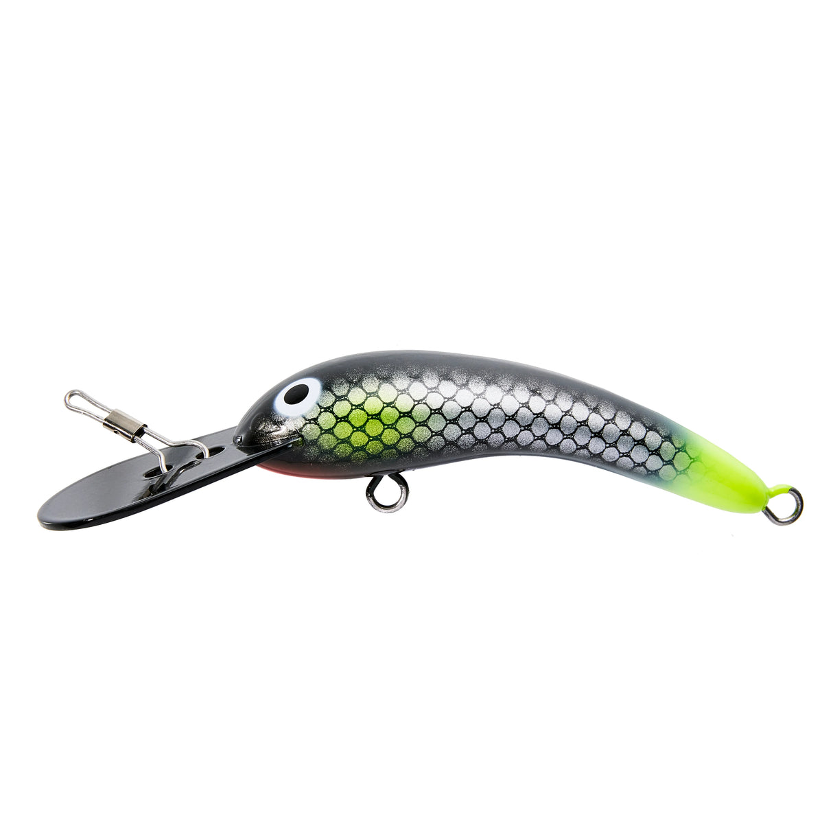 LIVE NATIVE WOGGALEYE 130 HARD BODY LURE