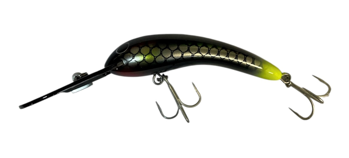 LIVE NATIVE WOGGALEYE 90 HARD BODY LURE