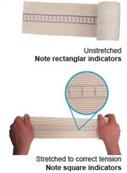 SNAKE BITE BANDAGE WITH INDICATOR LARGE