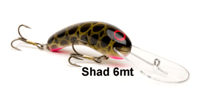 OAR GEE SHAD 6MT